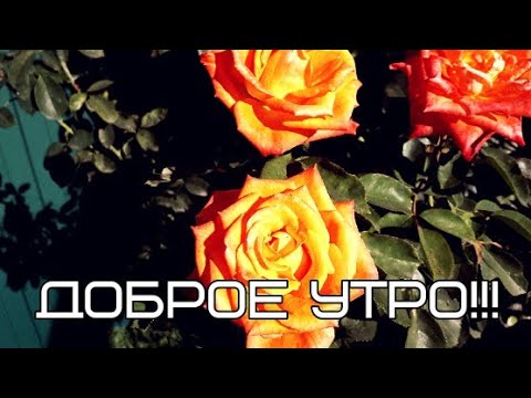Доброе утро))Пожелание для любимого человека)) С добрым утром))Мои стихи)).