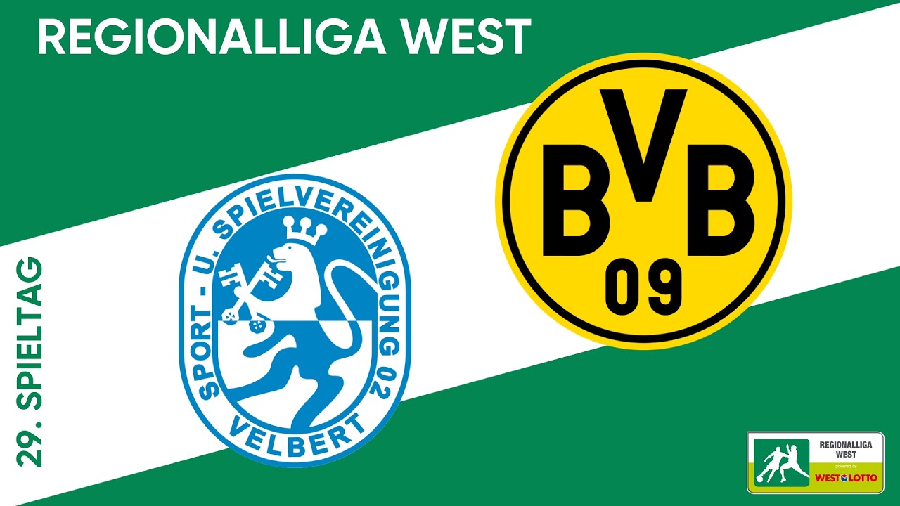 SSVg Velbert vs Borussia Dortmund II U23 Highlights