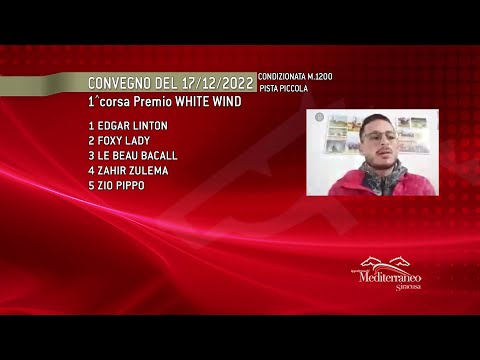 Pronostici corse cavalli Galoppo del 17 Dicembre 2022