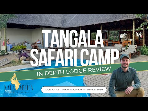 Greater Kruger Safari Lodge Review - Tangala Safari Camp 🐾