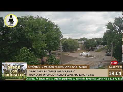 Radio  Las Flores - AM 1210 - FM Cóndor 89.7 - EN VIVO -