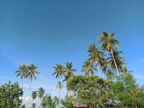 Cover, "Hilang Tradah Kabar"