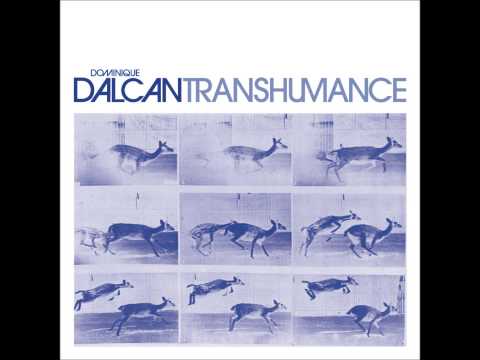 Dominique Dalcan - Transhumance