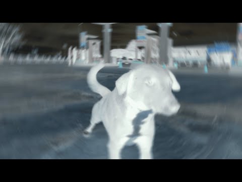 DJ Foukini - OujdaMania (Official Music Video)