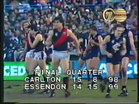 1981 Essendon v Carlton - Round 20