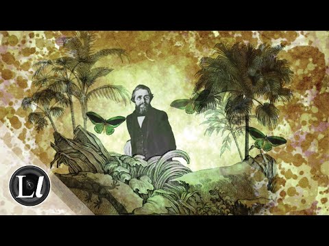 Alfred Russel Wallace's Palm Trees of the Amazon and Their Uses