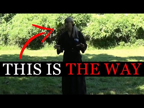 HOW TO APPLY BUDO CORRECTLY TO YOUR LIFE: Ninjutsu Martial Arts Training