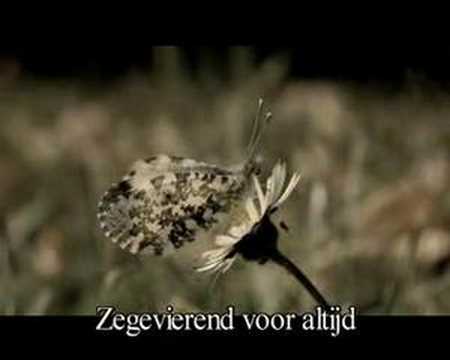 Opwekking 615 - Waardig is het Lam(dank u voor het kruis)