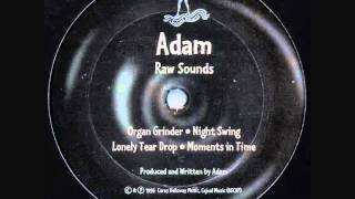ADAM - NIGHT SWING [1995]