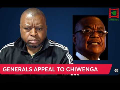 Military generals in a formal setting