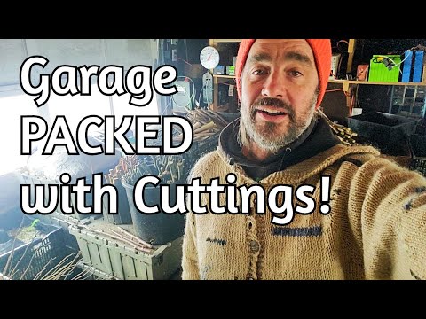 Winter Plant Shipping: Garage Nursery's Crazy Operation