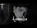 KAMELIA AKCENT || New Version Full Song || kamelia (Audio) Song || Slowed & reverb || Kamelia Song