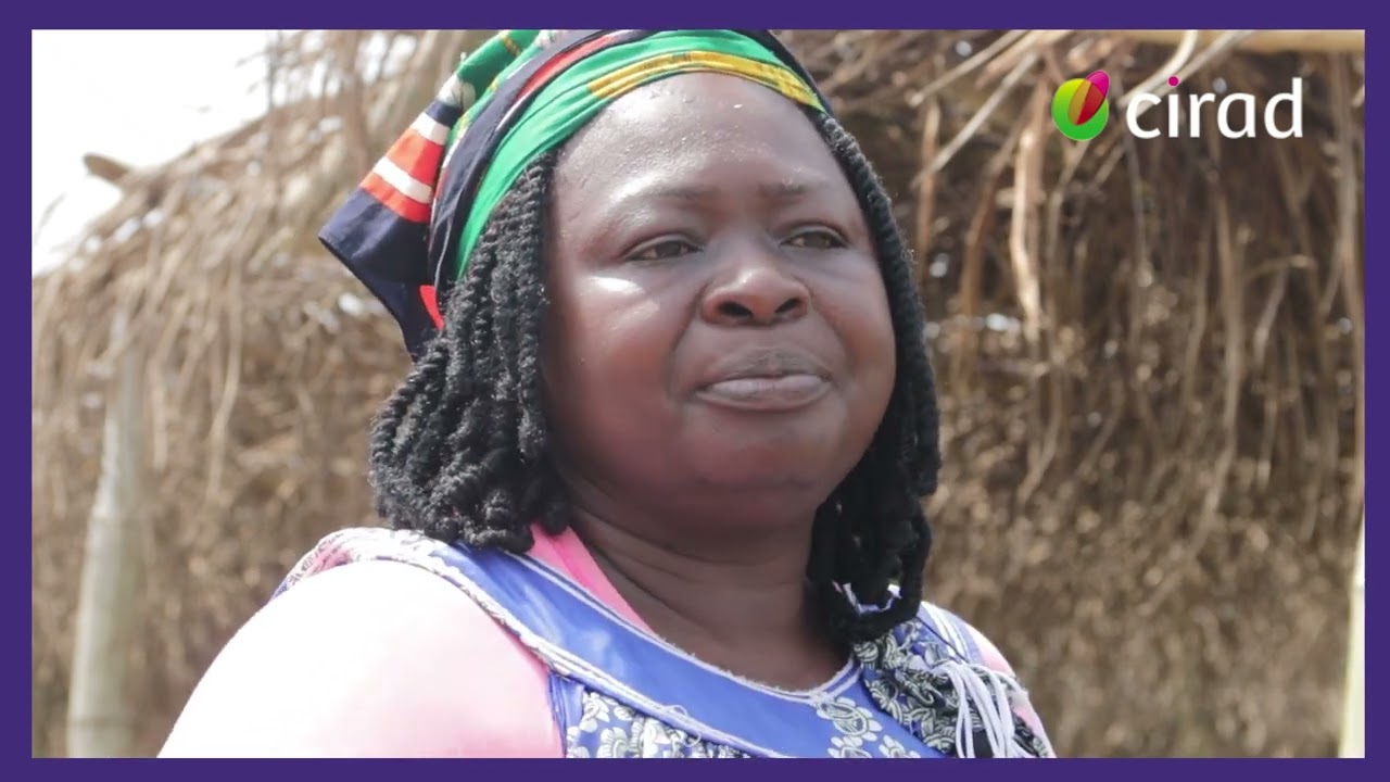 « L’agriculture me permet d’être une femme autonome et libre financièrement » Marie-Clarisse Ndengue