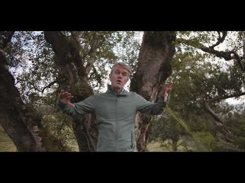 Ireland's Native Trees - EPISODE 4  BIRCH