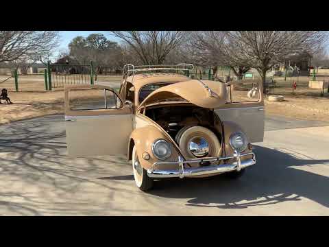 1955 Volkswagen Beetle (CC-1551339) for sale in Fredericksburg, Texas