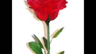 Download lagu Sekuntum Kembang (Harry Roesli) mp3 Download lagu Sekuntum Kembang (Harry Roesli) mp3