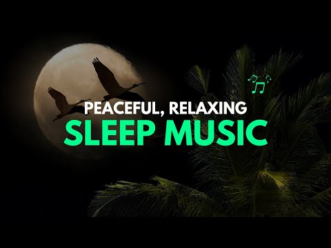 Sleep Music With Ocean and Jungle Sounds – Relaxing Music video and Full Moon #relaxing #meditation