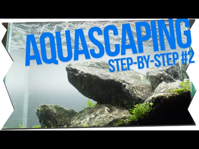 IWAGUMI AQUASCAPING STEP-BY-STEP #2 | GarnelenTv