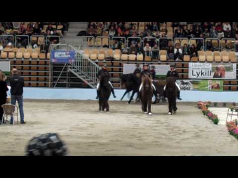 WorldCup - Lykill frá Blesastöðum - www.isibless.de