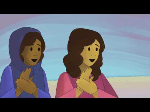 Witness21 Editor  2017 10 05