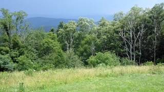 Cass Scenic RR deep in the mountains of our beautiful state of WV