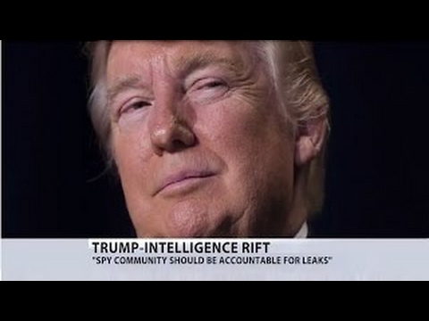 WikiLeaks publishes 'entire hacking capacity of the CIA in Panic Mode'