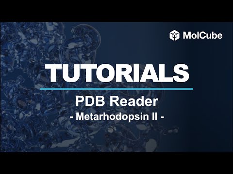 01. PDBReader - Metarhodopsin II