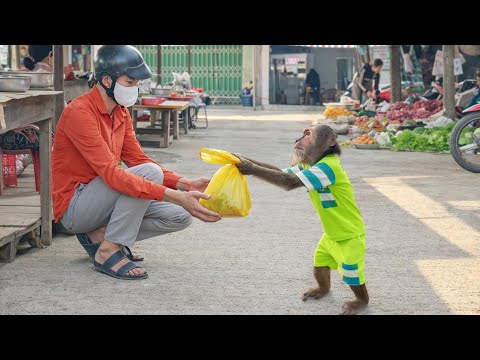 What Happens When CUTIS Finds Something a Stranger Lost ?