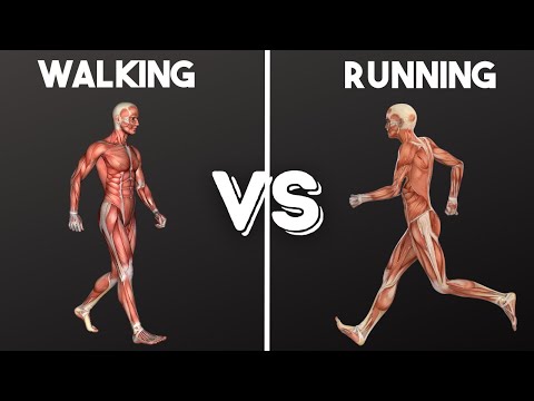 Walking vs Running: Weight Loss, Fat Loss, Life Span AND MORE
