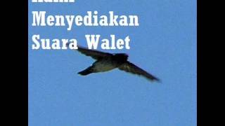 Download lagu Walet bima sakti.wmv mp3