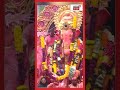Lalbaugcha Raja র বিসর্জনে আবেগপ্রবণ Anant Ambani N18S Shorts