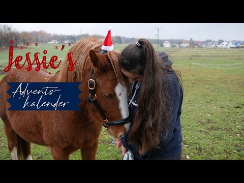 Pferde Adventskalender | Jessie's Weihnacht's Kalender | Jessiso