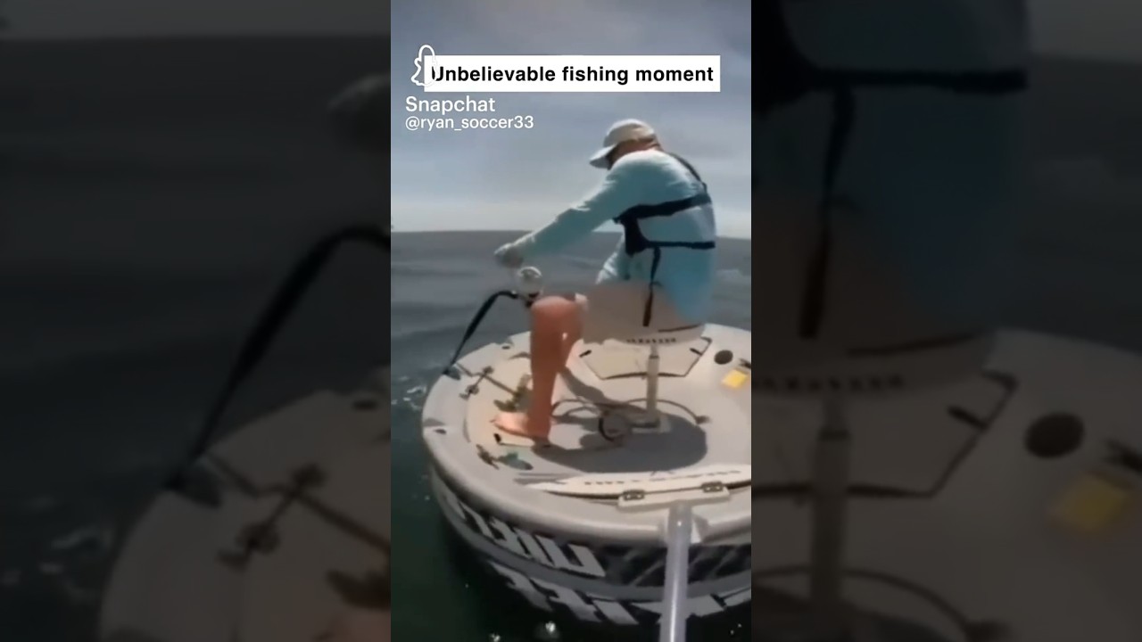 GIFs & COUBs 82 | #memes #memesdaily #coub