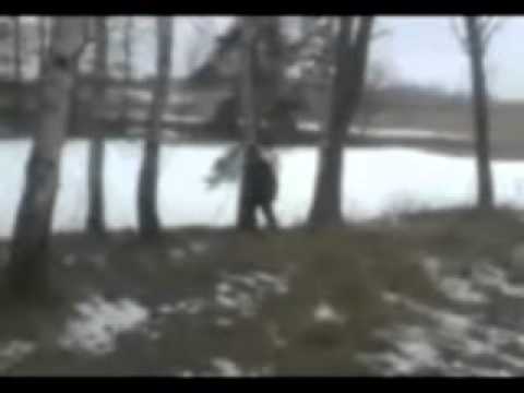 Aleš Brichta-Dívka s perlami ve vlasech.flv