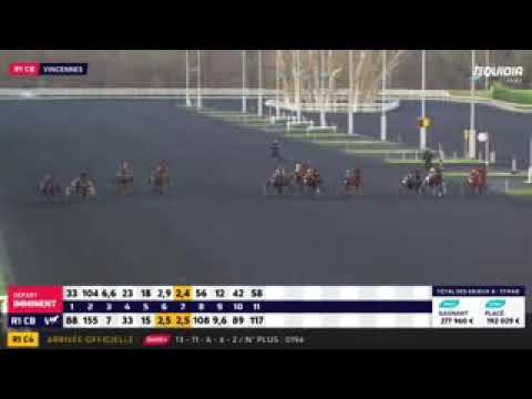 VIKING BLUE REMPORTE  PRIX  DE LA MARNE 04.02.2018