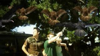 Birdemic: Shock and Terror (2010) Video