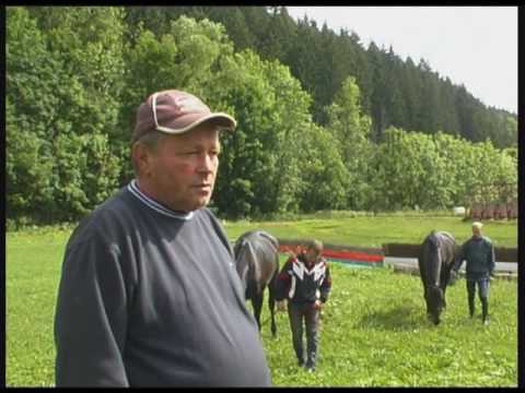 Ceske derby   Holcak