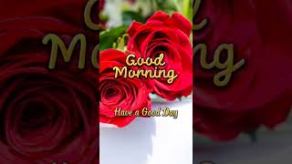 Download lagu Video Ucapan Selamat Pagi | Good Morning Status  #shorts mp3