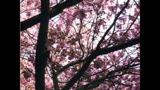 Current 93 - Behind My Walls Are My Cats