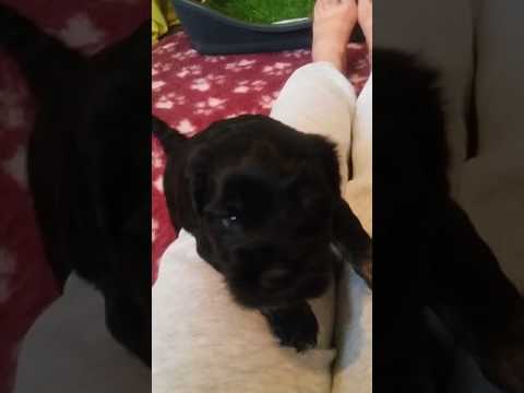 Morgens um 7 in Eberdingen