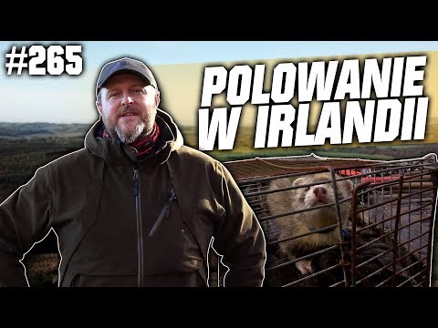 Darz Bor odc 265 - Polowanie w Irlandii