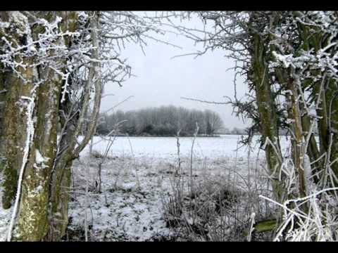 Magpie Lane - The Trees are all Bare