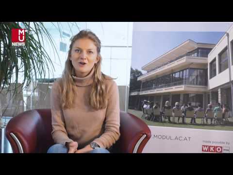 Difficulties - My First Semester at MODUL University Vienna