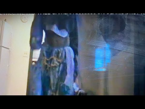 THE URI OR IS ID'† URLIE? pupPET MOVE-THEE REEL NUMBer8!ThaT TeaSe WHO?WHO †REA†id uS ILL-LEgALLY?!