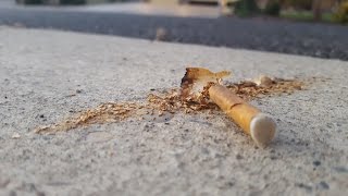 G Voz-Boredom (Scenic Video)