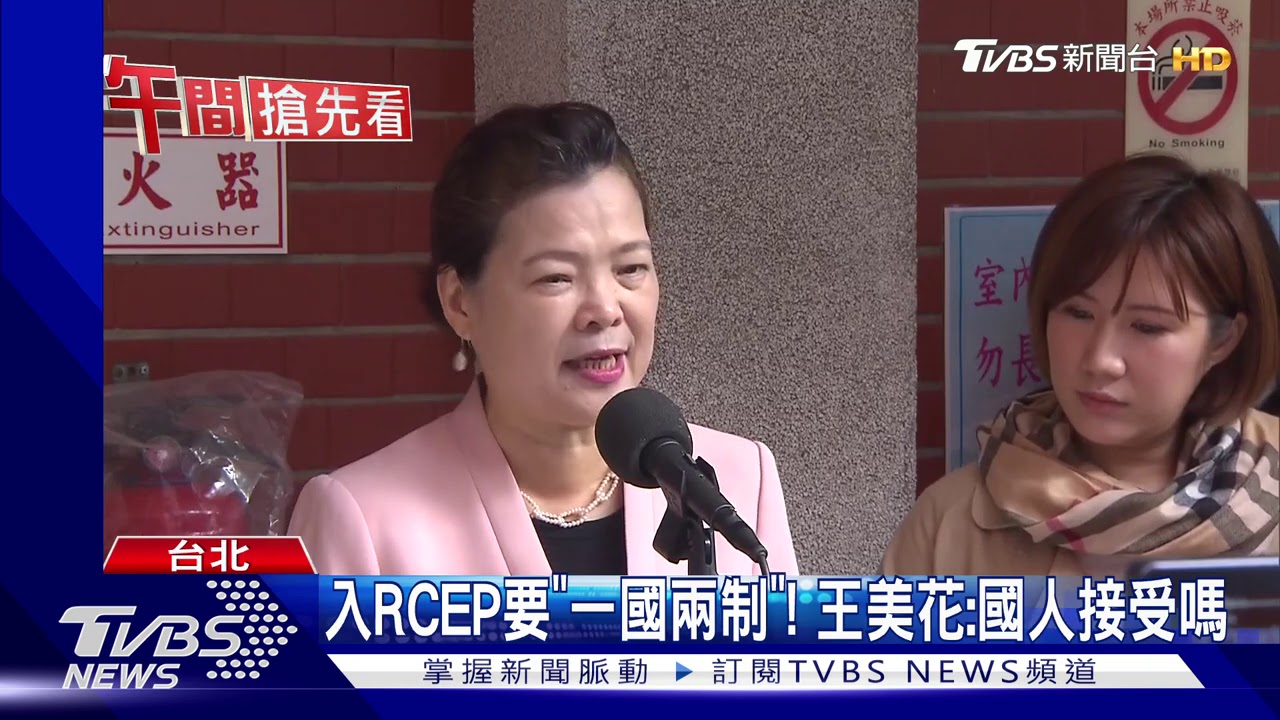入RCEP要「一國兩制」! 王美花:國人接受嗎