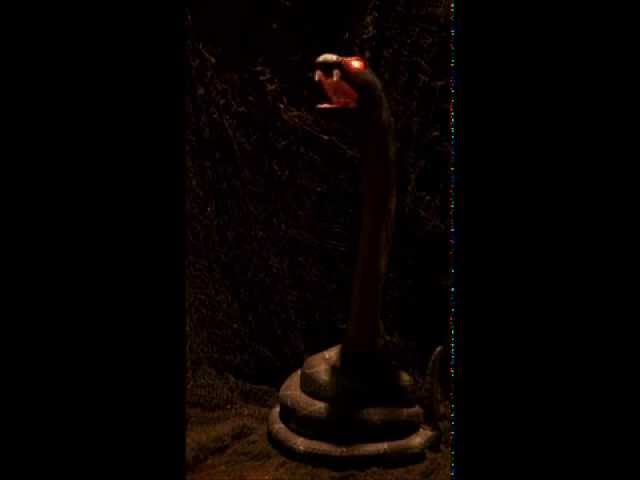 Angripande klapperslang video