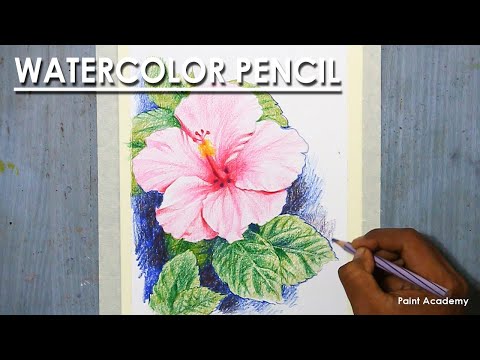Watercolor Pencil A Composition on Hibiscus Flower
