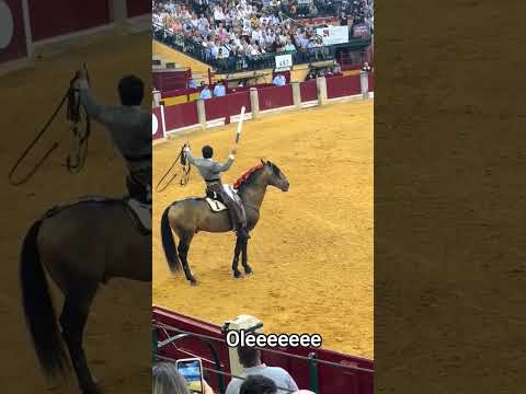 Diego Ventura sin rienda #horse #toroultra #caballos #toromecanico #equestrian #toros #stallion