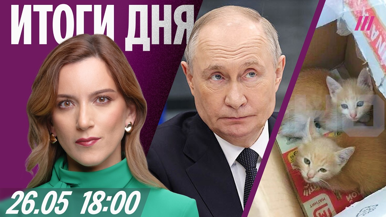 Путин упустил шанс на победу? В Магните убили котят. Релокантам арестуют ква?